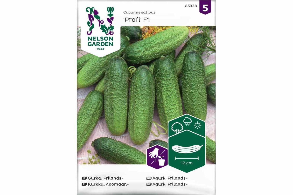 Frø Agurk ‘Drueagurk Profi F1’ – Lettvokst frilandsagurk til sylting
