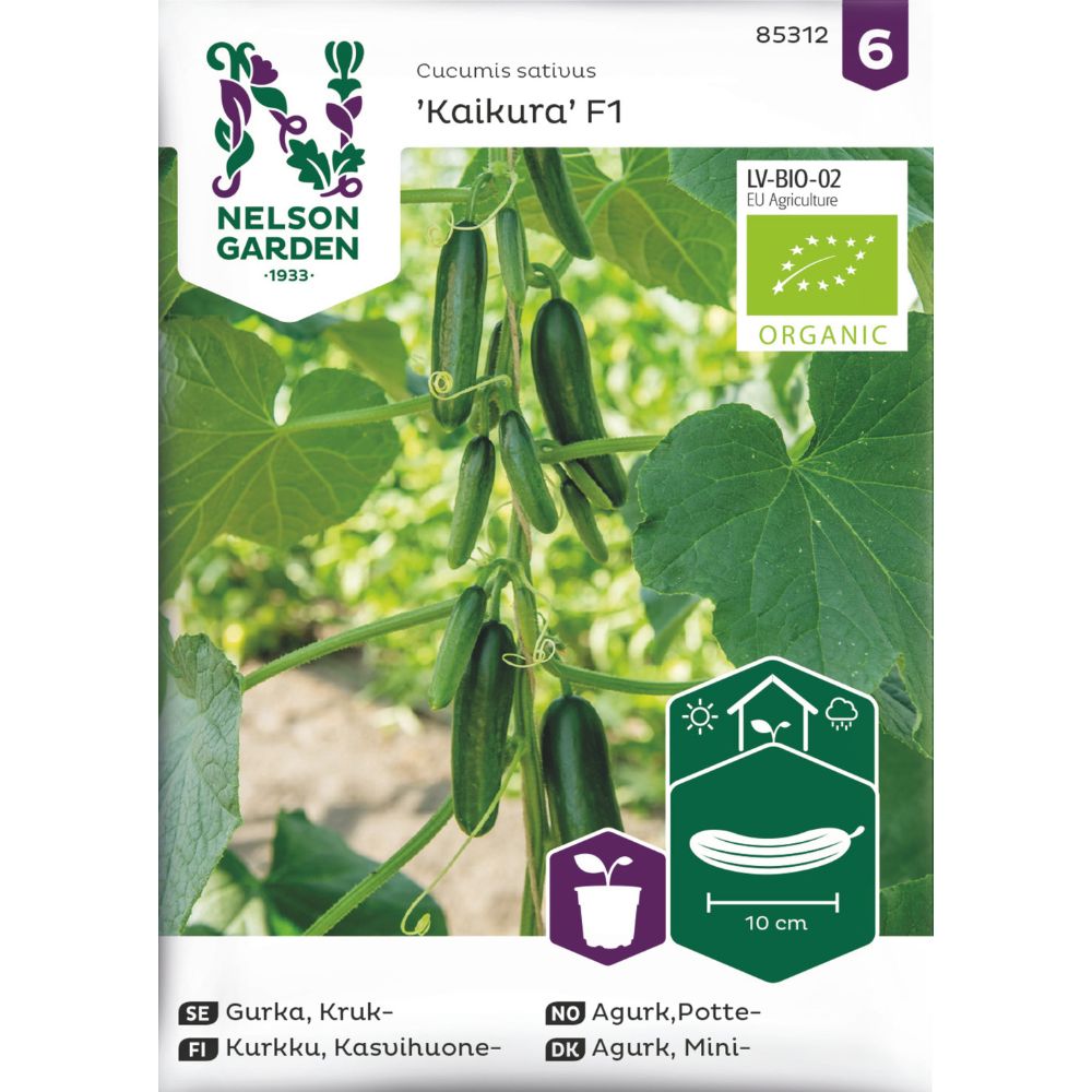 Økologisk potteagurk ‘Kaikura’ F1 på plante