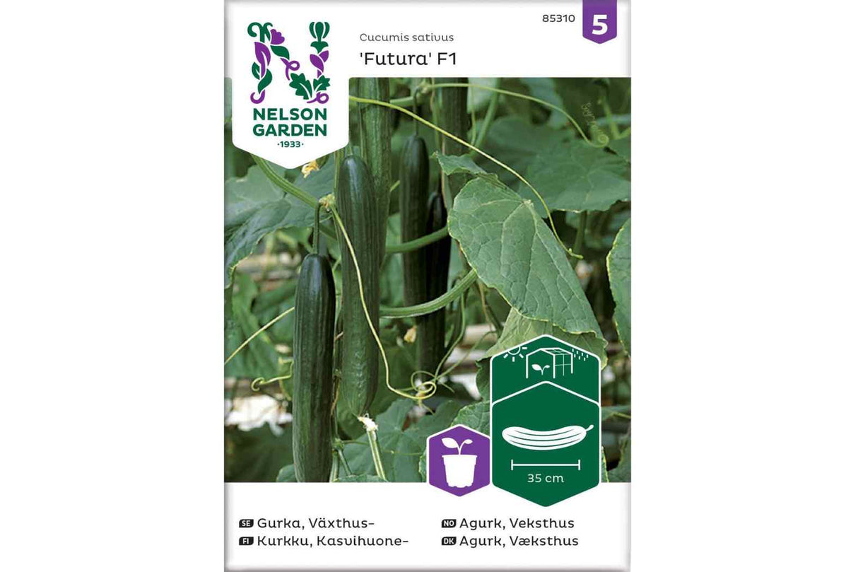 Frø Agurk ‘Futura F1’ – Slangeagurk for drivhusdyrking