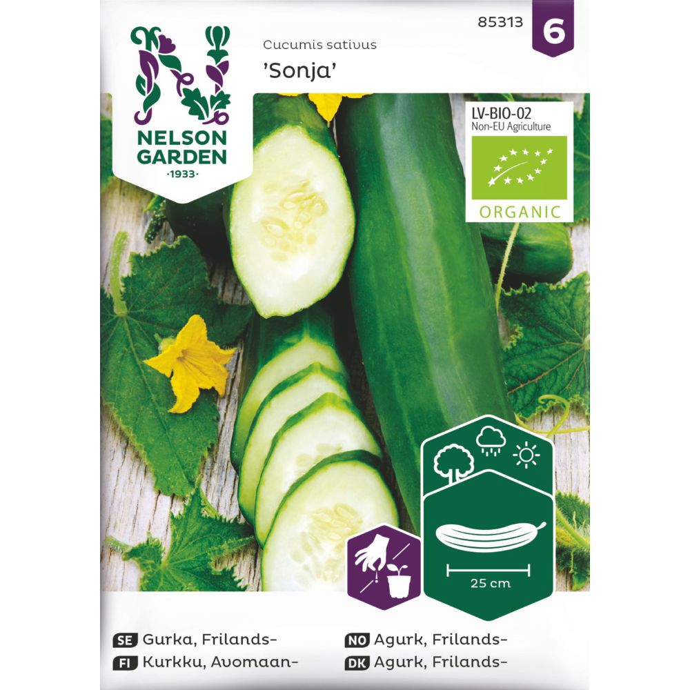 Økologisk agurk ‘Sonja’ på plante i friland