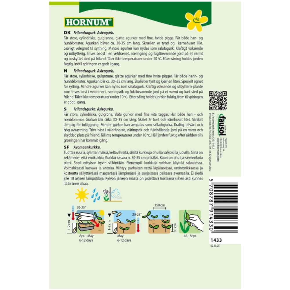 Lang asieagurk klar til sylting