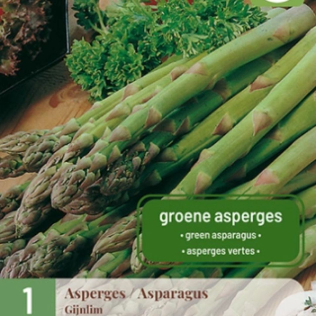Grønn asparges ‘Gijnlim’ med rette, sprø skudd dyrket i solrik kjøkkenhage.