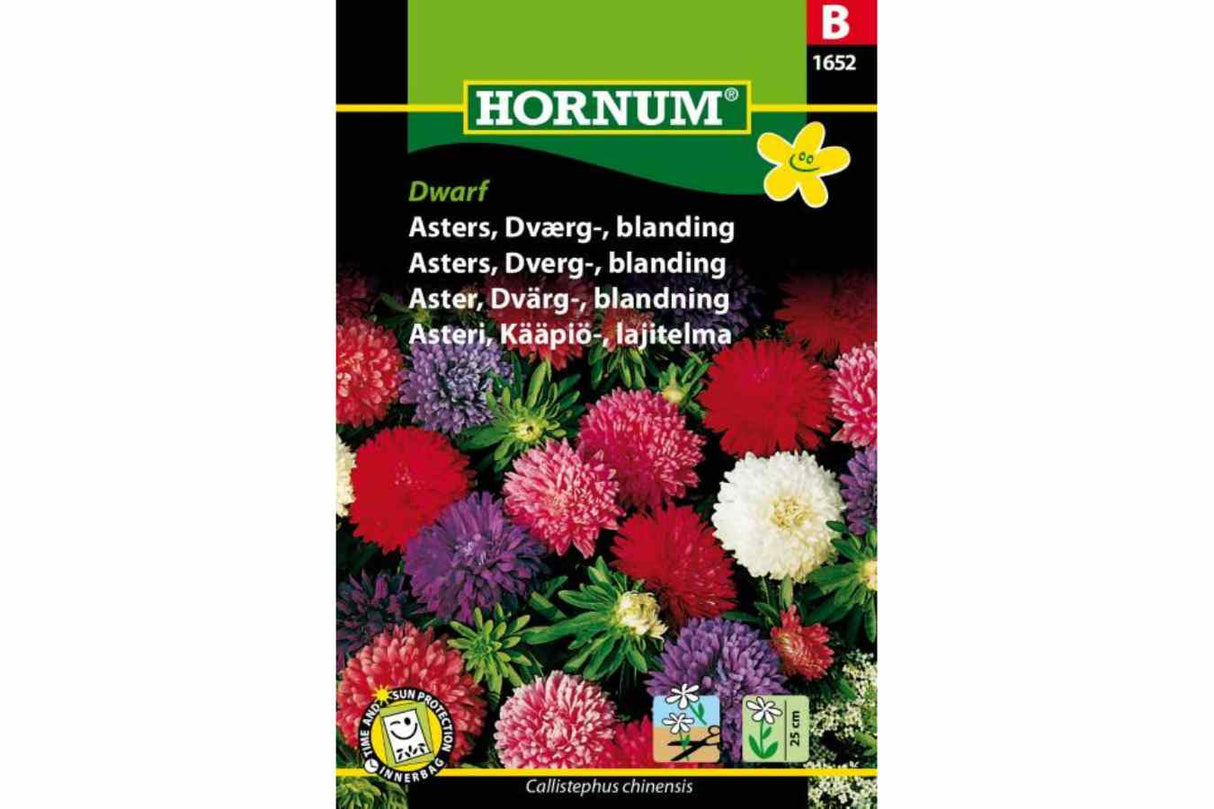 Asters 'Dwarf' – Kompakt og Fargerik Ettårig Blomst