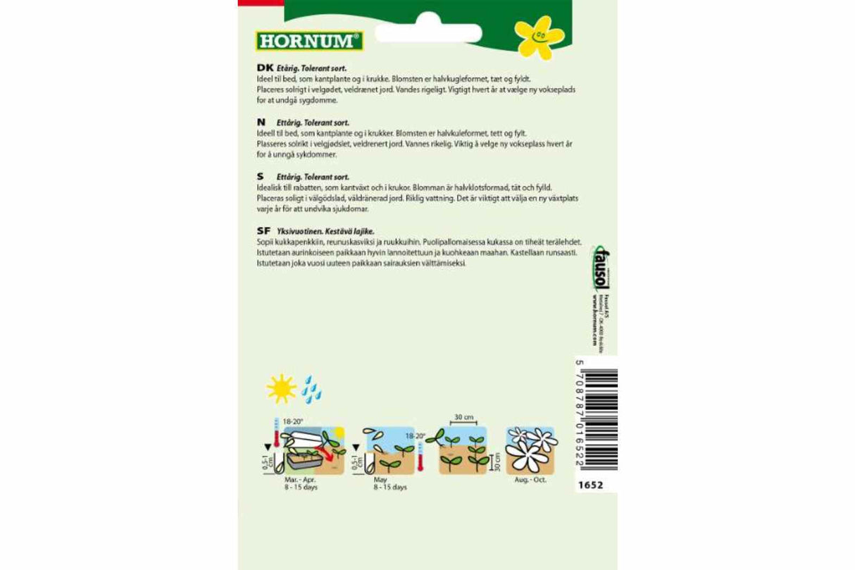 Asters 'Dwarf' – Kompakt og Fargerik Ettårig Blomst