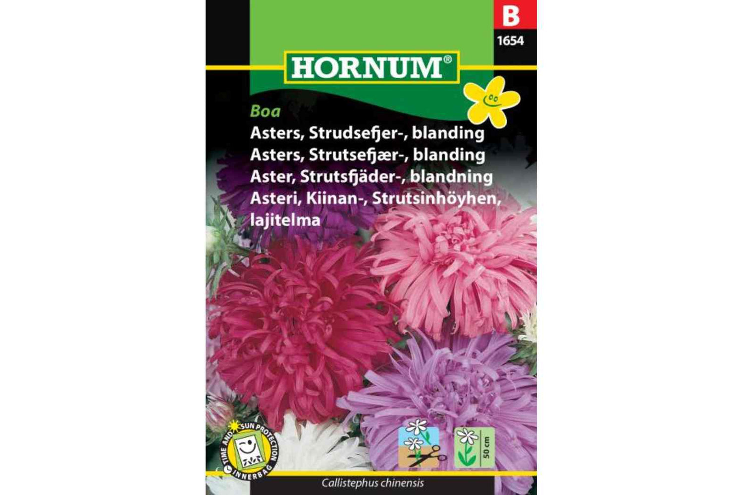 Asters Bland. Strutsefjær – Ettårig Asters med Unike Kronblader