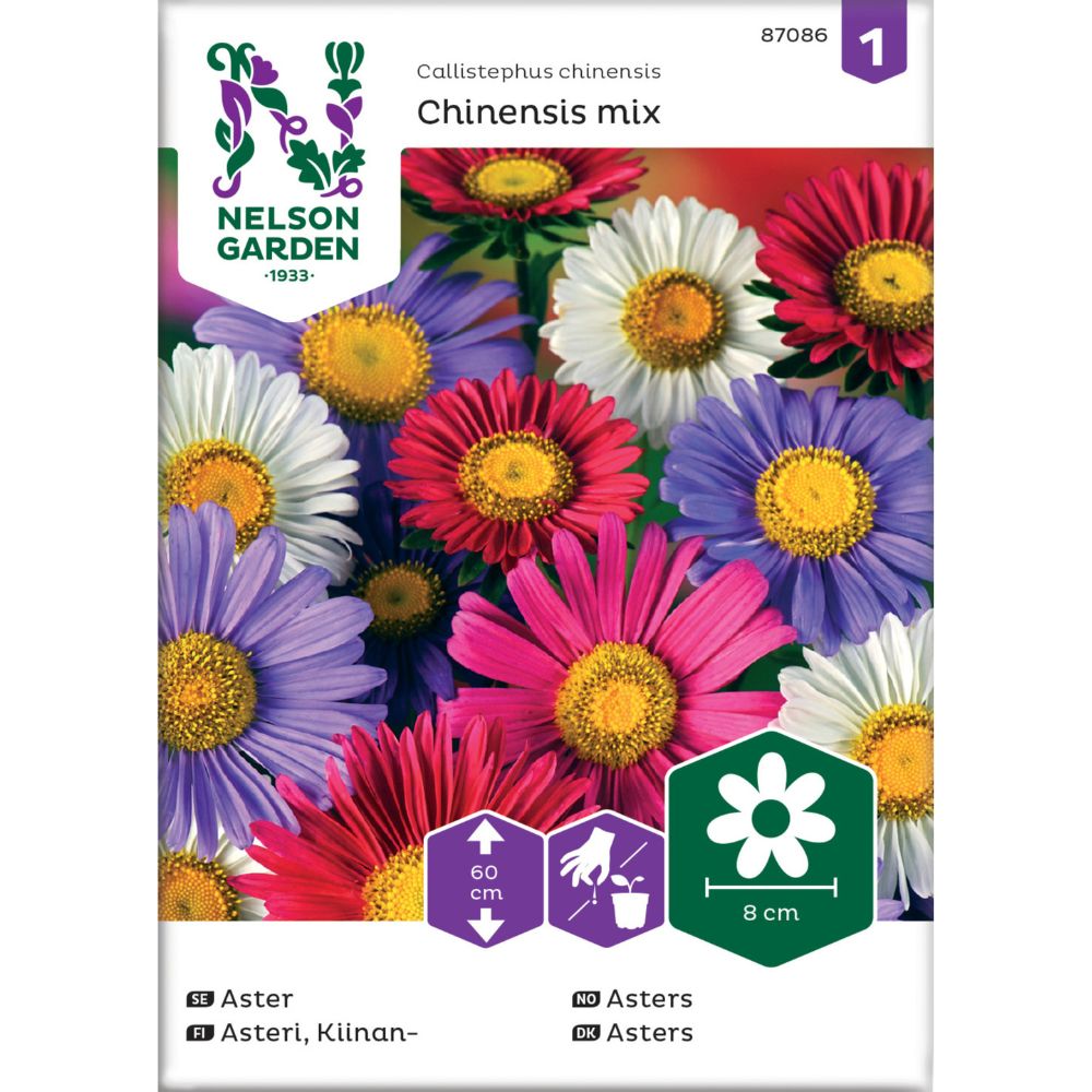 Enkeltblomstrende asters i blandede farger