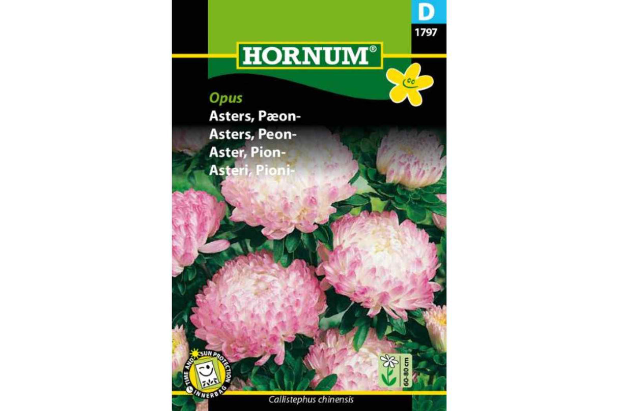 Asters 'Peon Opus' – Elegant Ettårig Blomst med Peonlignende Kronblader