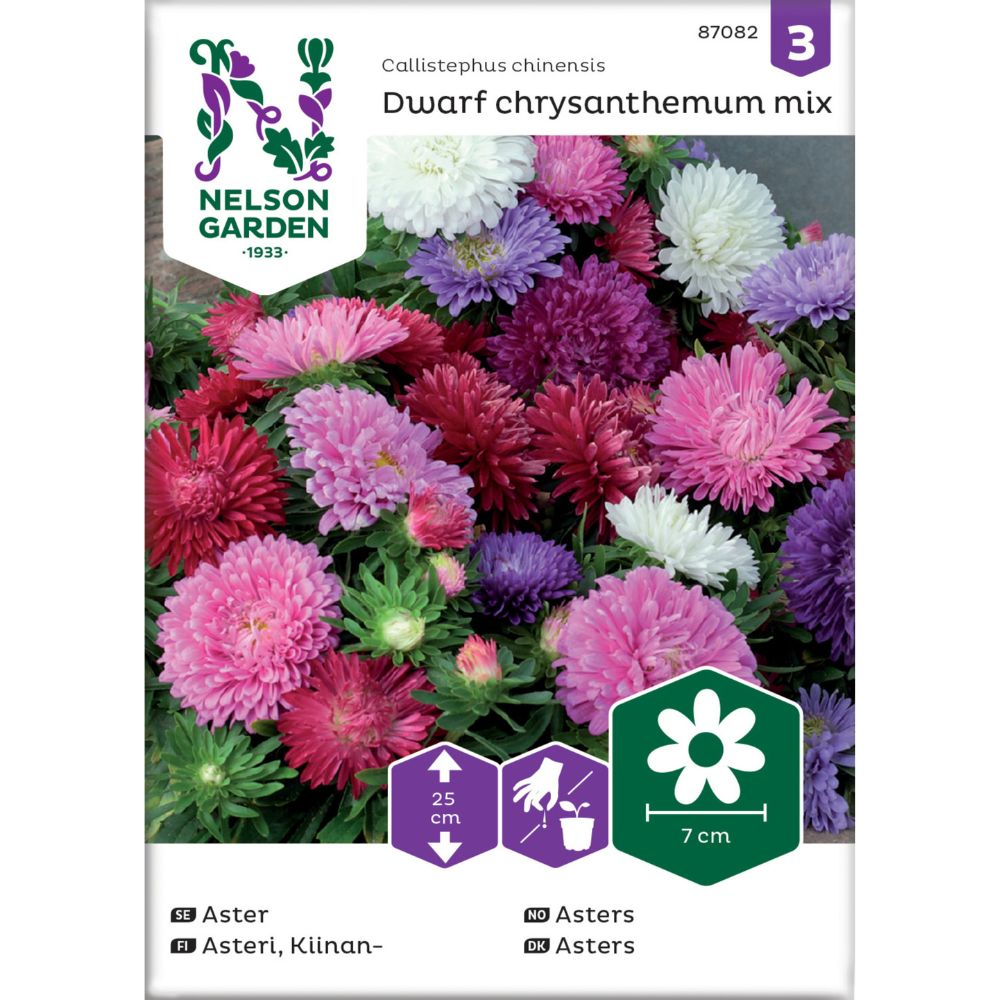 Asters Frø – Dverg i Blandede Farger