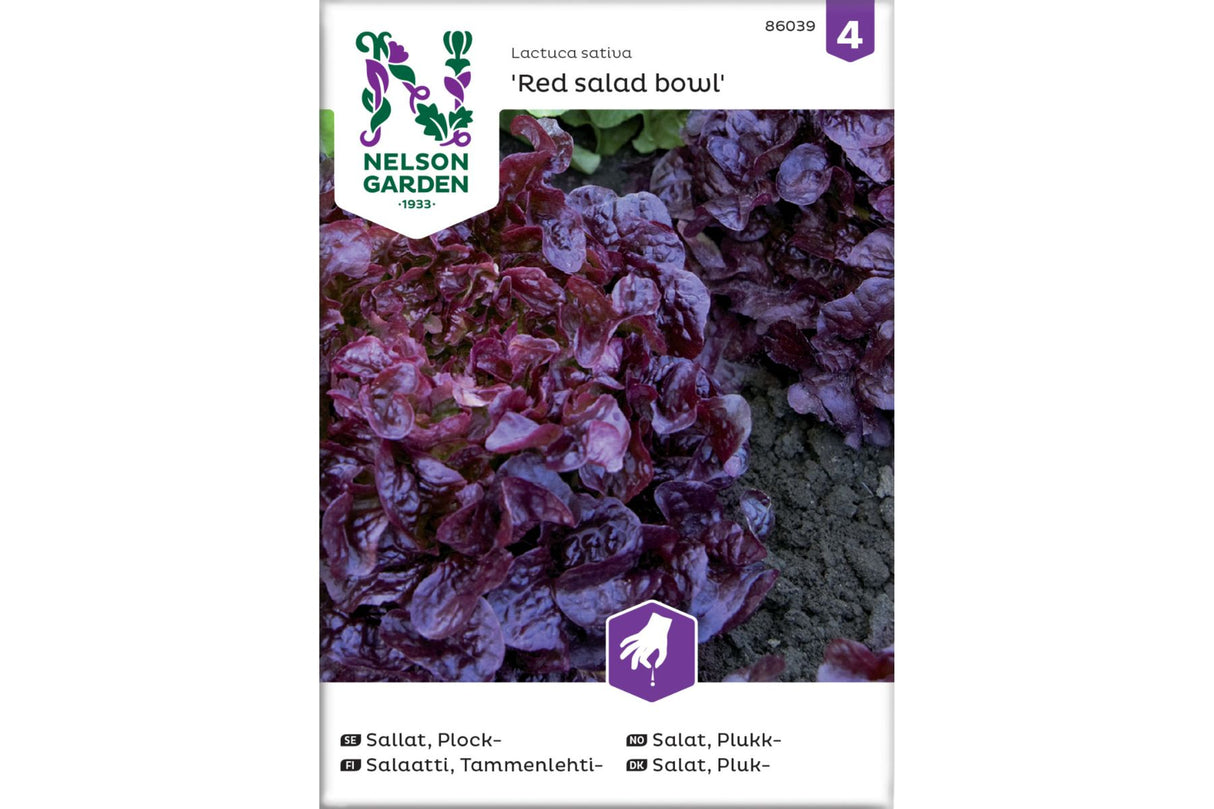 Bladsalat 'Red Salad Bowl' – Rød plukksalat med dekorative eikeblader