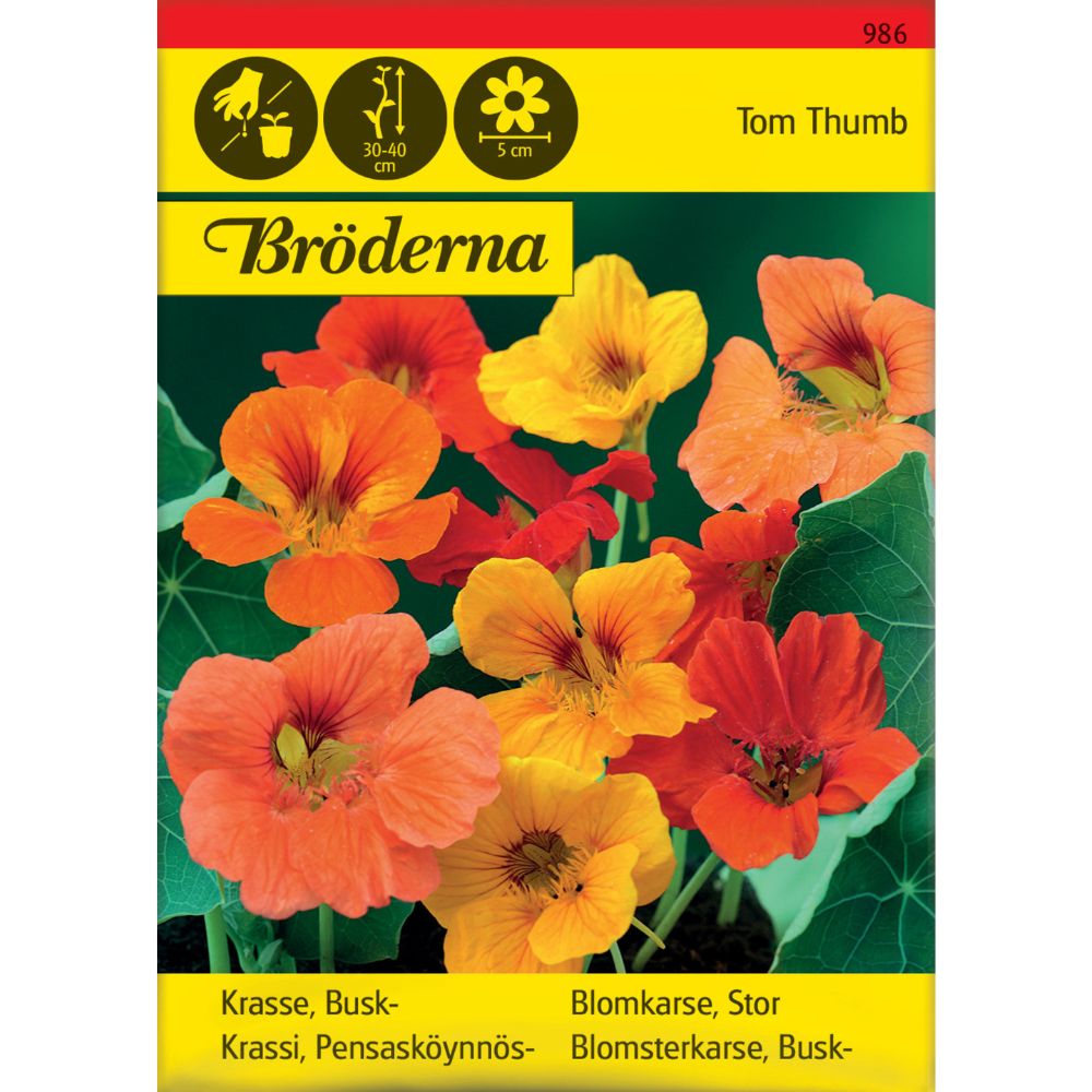 Blomkarse Tom Thumb mix frø – kompakt blomkarse i sterke farger til krukker og bed