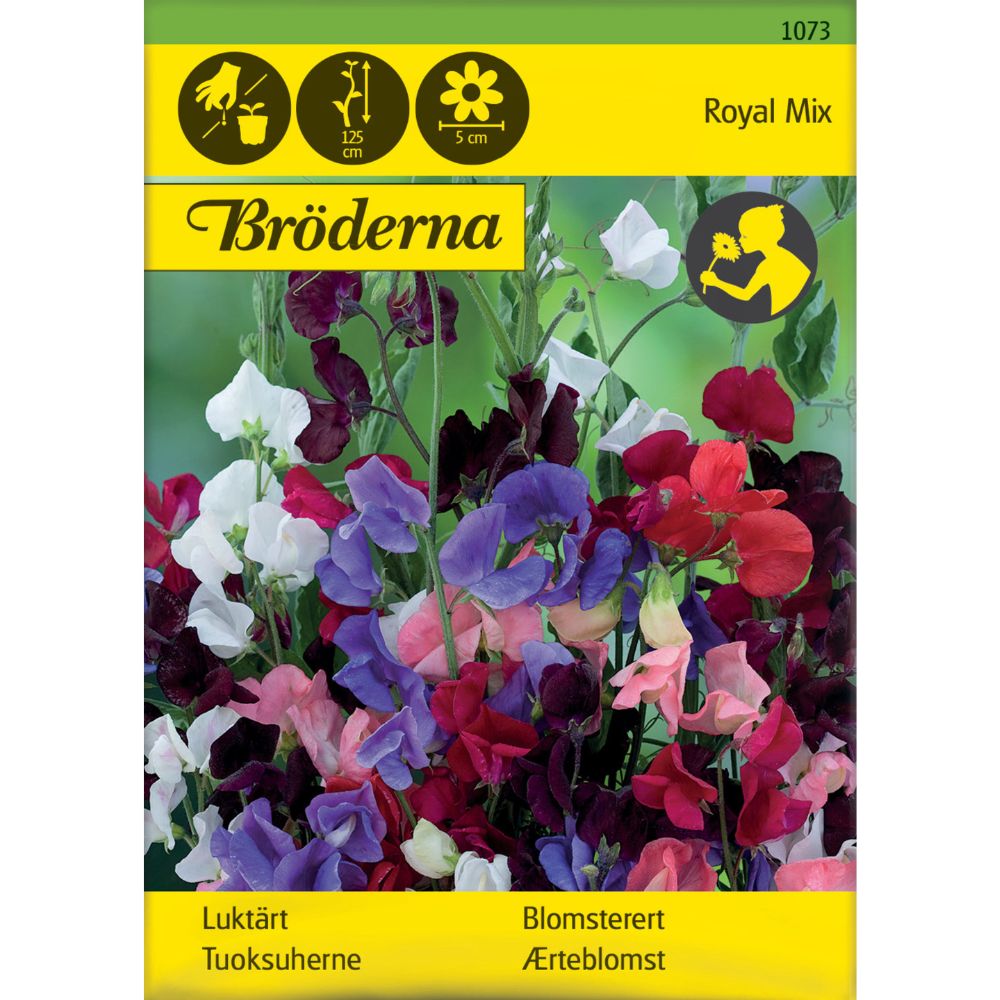 Blomsterert i blandede farger som klatrer på espalier