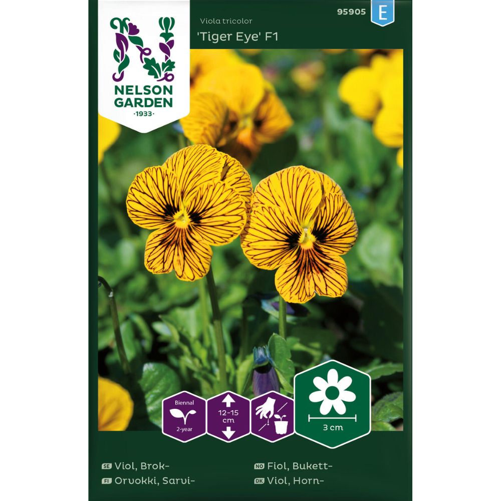 Bukettfiol ‘Tiger Eye’ med unikt mønstrede blomster