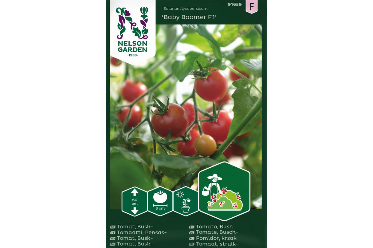 Cherrytomat 'Baby Boomer' F1 – Busktomat med høy avling for krukker og små hager