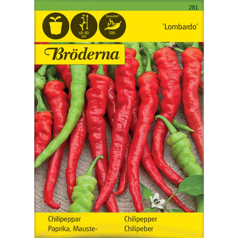 Lombardo chilipepper med lange grønne frukter på planten