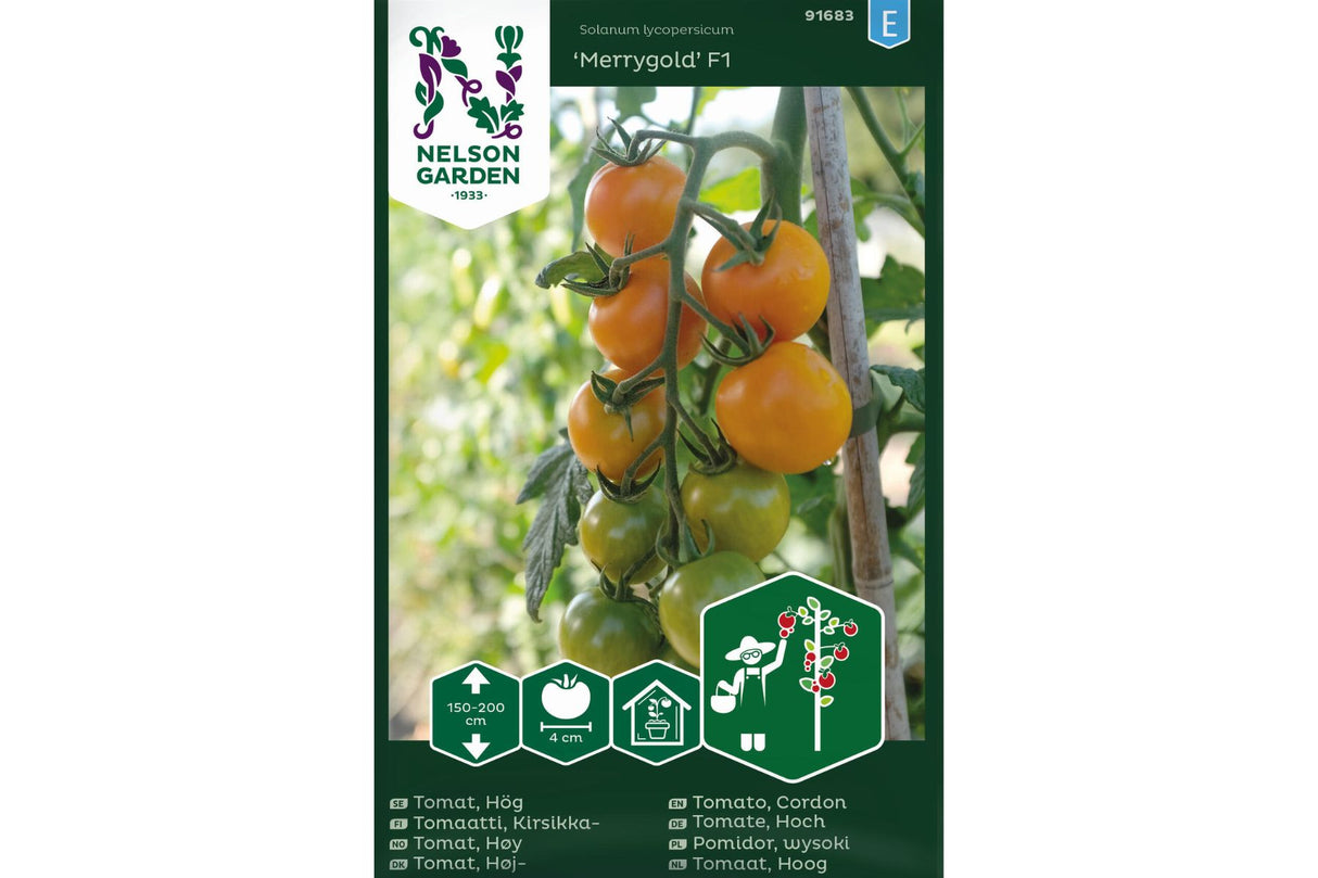 Cocktailtomat 'Merrygold' F1 – Aromatisk oransje tomat med høy avling og sykdomsresistens