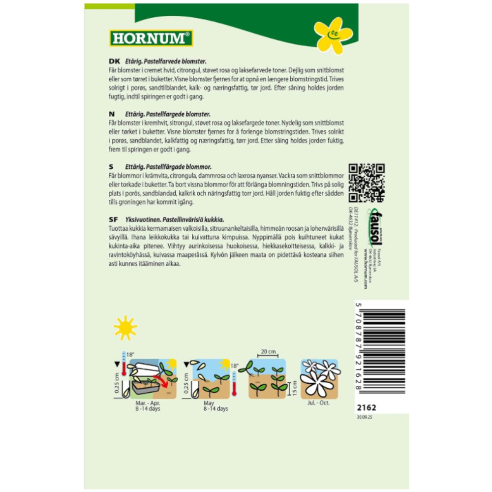 Store evighetsblomster i blomsterbed