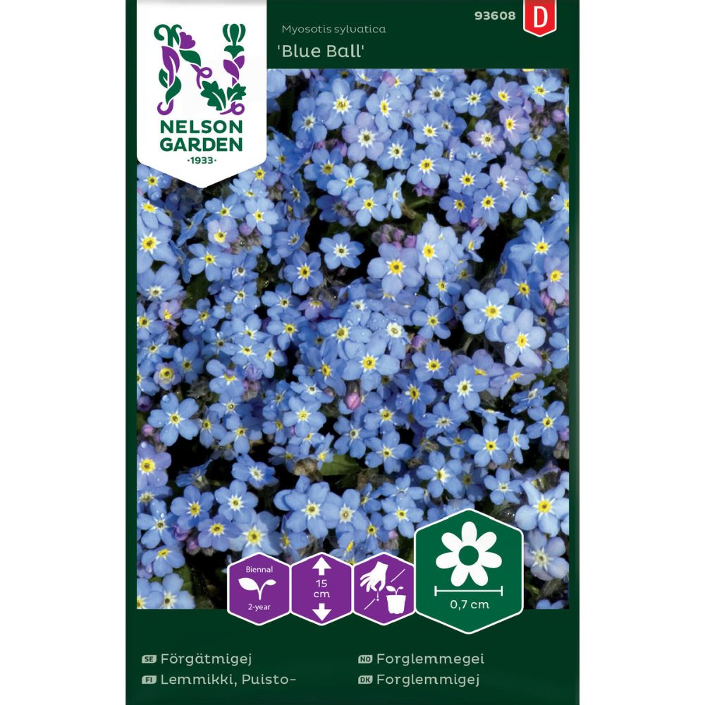 Forglemmegei Blue Ball med små blå blomster i blomsterbed