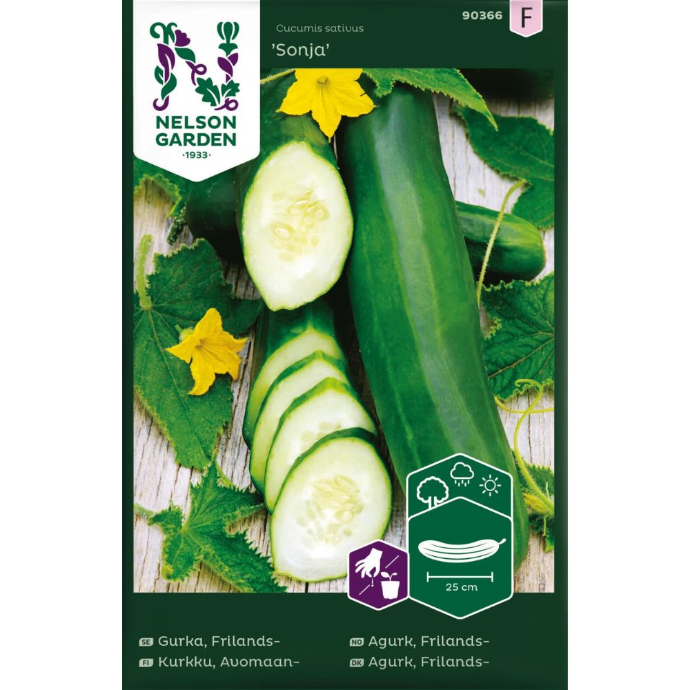 Slangeagurk ‘Sonja’ høstet og klar til bruk i salat.