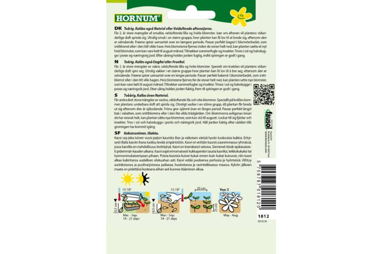 Frø Aftenstjerne ‘Bland Violet’ – Toårig duftende blomsterfavoritt