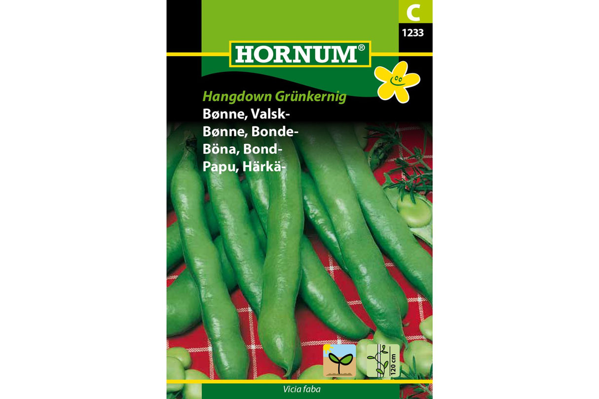 Frø Bondebønne ‘Hangdown’ – Allsidig Middeltidlig Sort med Grønne Frø
