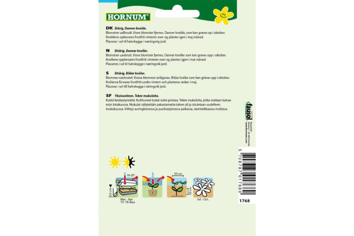 Frø Dahlia ‘Mignon’ – Ettårig med lang blomstring og knolldannelse