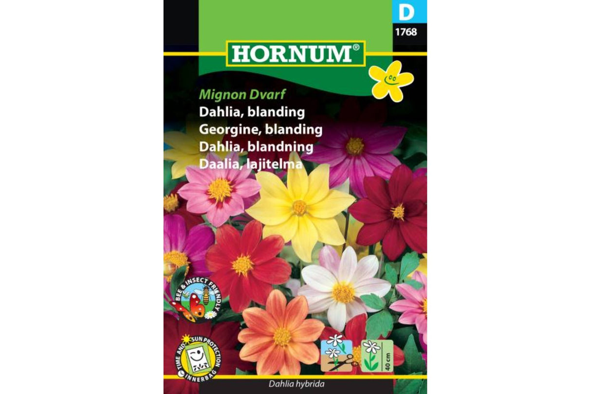 Frø Dahlia ‘Mignon’ – Ettårig med lang blomstring og knolldannelse