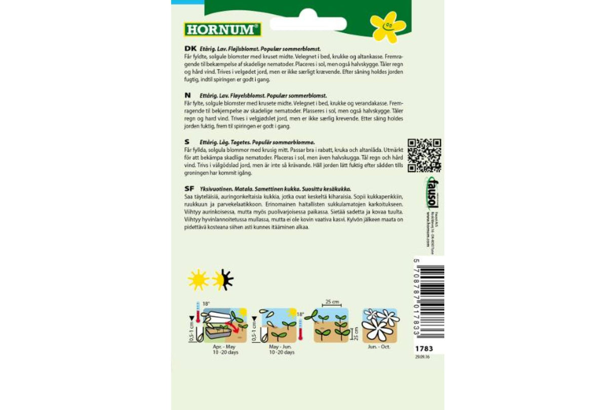 Frø Fløyelsblomst ‘Petite Gelb’ – Lav, ettårig sommerblomst med solgule blomster