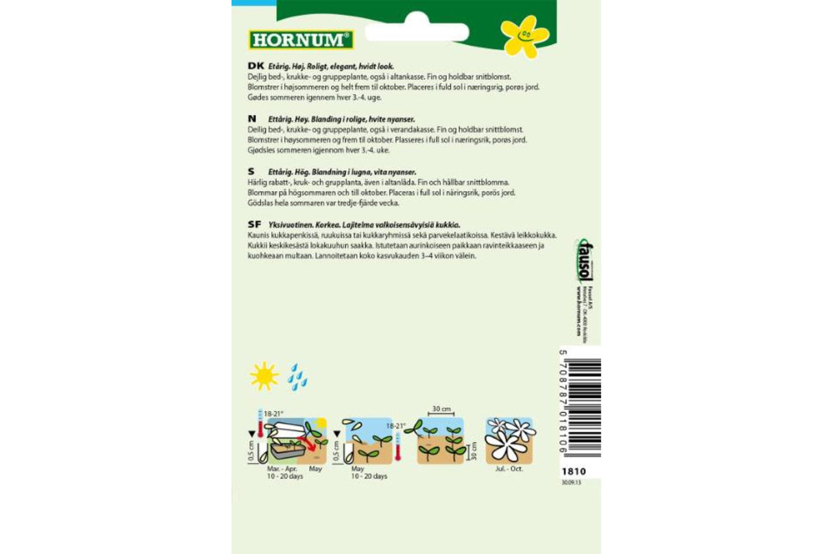 Frø Frøkenhatt ‘Grace’ – Høy ettårig sommerblomst i hvite nyanser