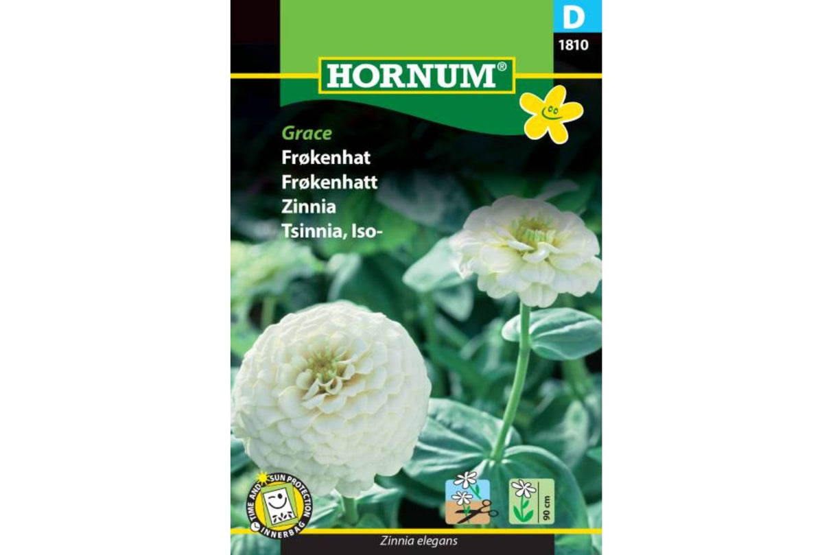 Frø Frøkenhatt ‘Grace’ – Høy ettårig sommerblomst i hvite nyanser