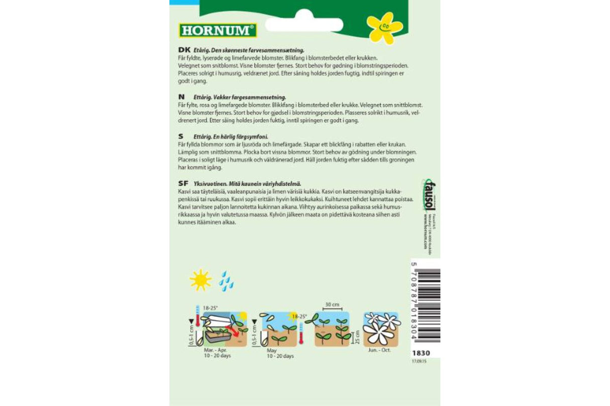 Frø Frøkenhatt ‘Red/Lime’ – Ettårig sommerblomst med unike farger