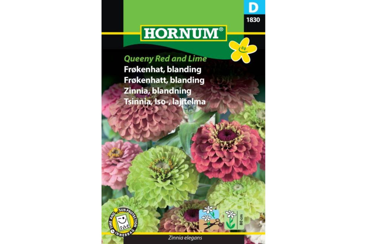 Frø Frøkenhatt ‘Red/Lime’ – Ettårig sommerblomst med unike farger