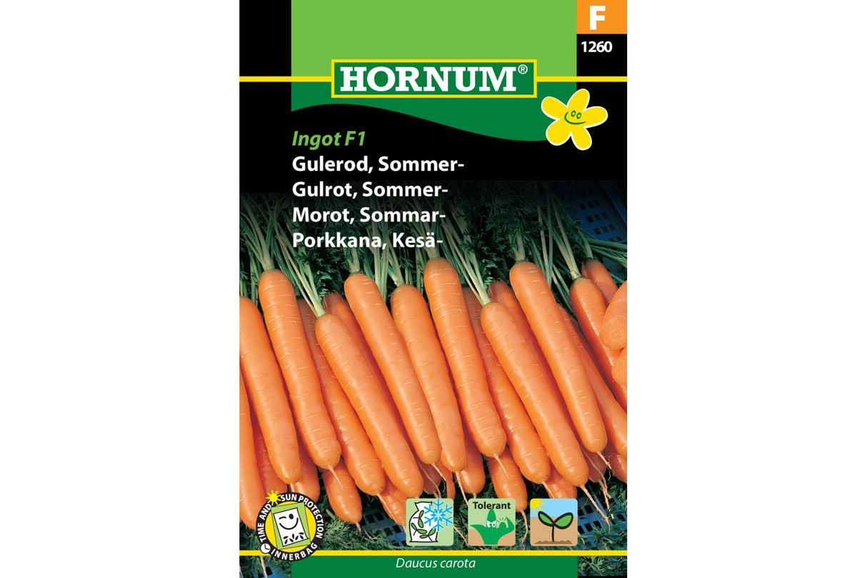 Frø Gulrot ‘Sommer Ingot’ – Middels Sen Sort med Høyt Karoteninnhold og Intens Farge