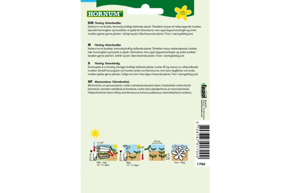 Frø Katteurt ‘Catjoy’ – Duftende plante for hage og katt