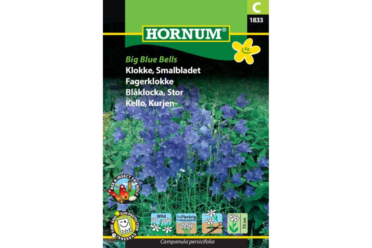 Frø Klokke Smalbladet ‘Big Blue Bells’ – Flerårig, hardfør staude