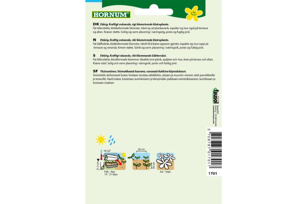 Frø Klokkeranke ‘Viola’ – Ettårig klatreplante med blåfiolette blomster