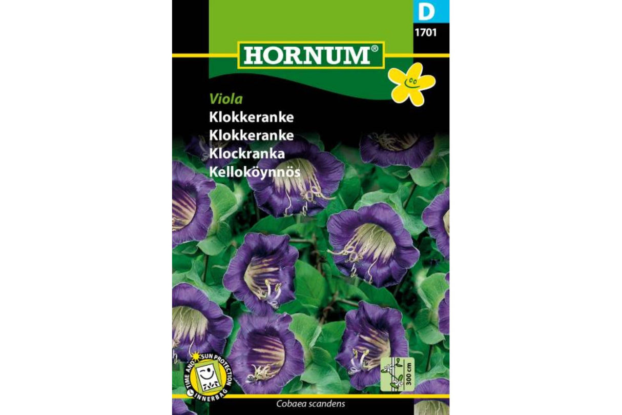 Frø Klokkeranke ‘Viola’ – Ettårig klatreplante med blåfiolette blomster