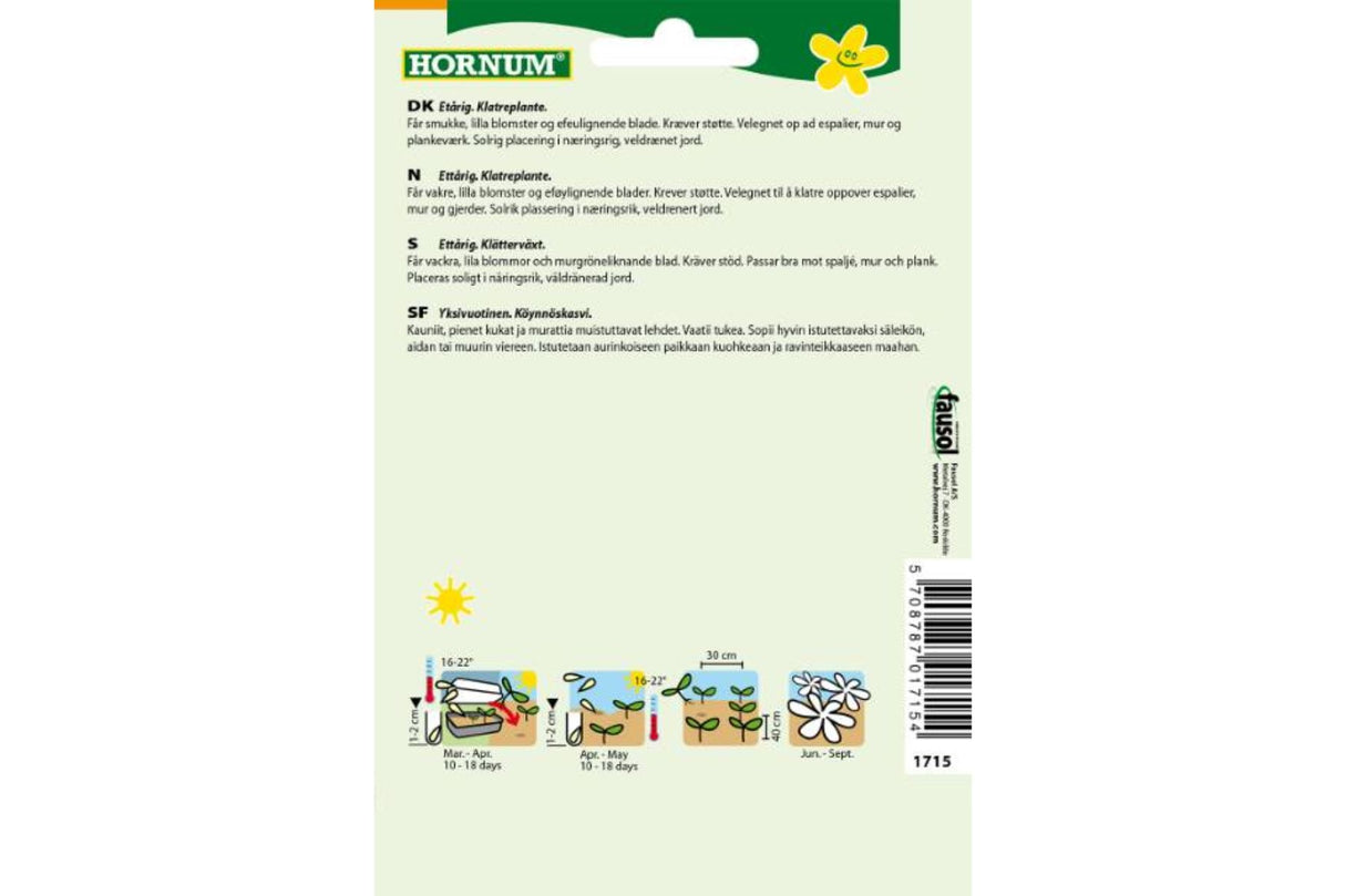 Frø Maurandya ‘Bocca’ – Ettårig klatreplante med lilla blomster