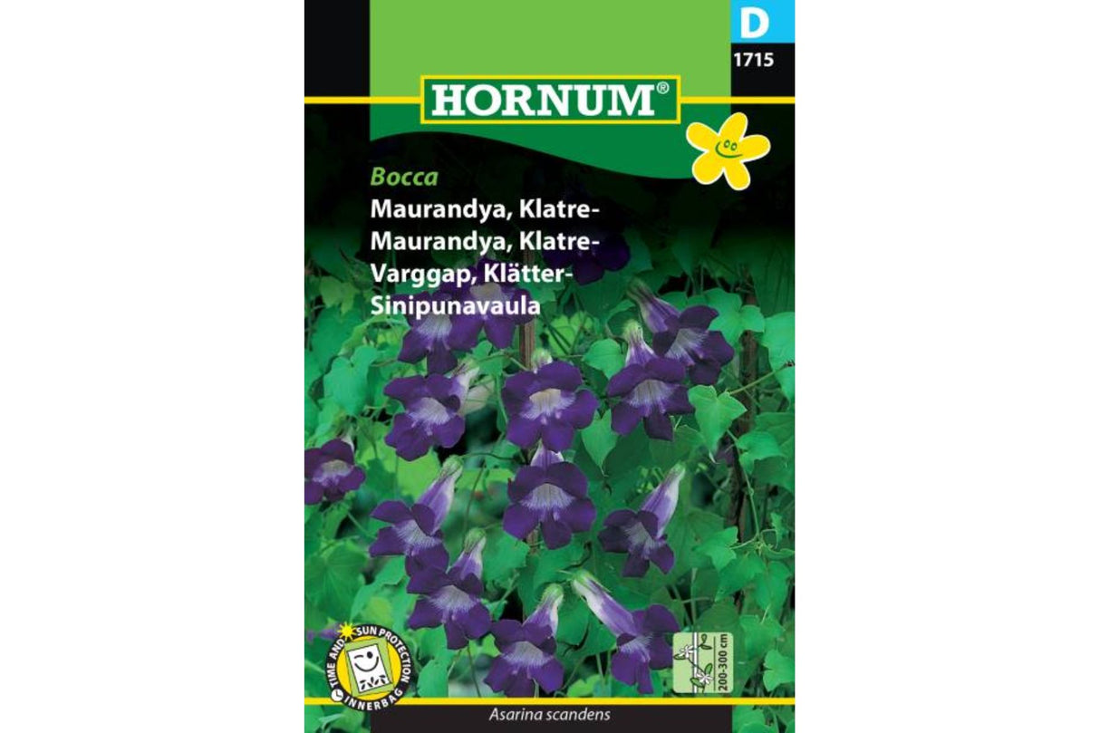 Frø Maurandya ‘Bocca’ – Ettårig klatreplante med lilla blomster