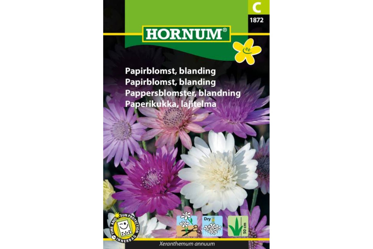 Frø Papirblomst Blandingsfarger – Ettårig snitt- og evighetsblomst