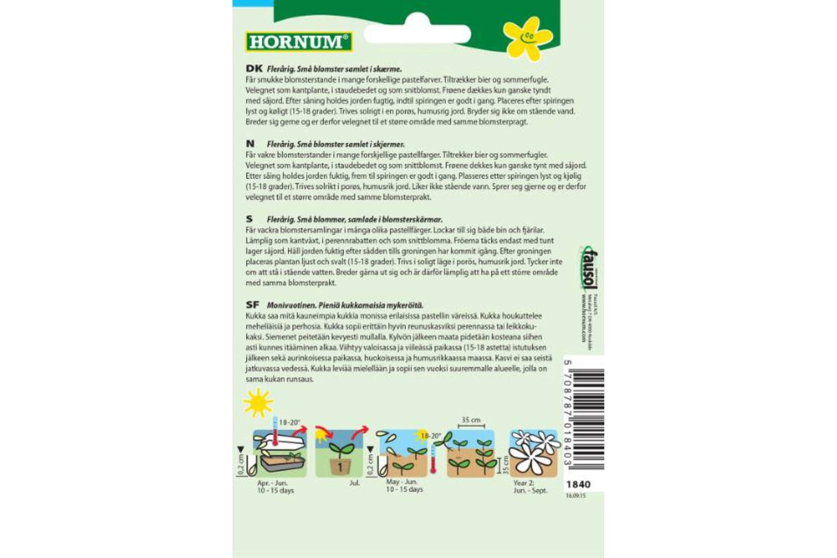 Frø Ryllik ‘Summer Pastel’ – Flerårig staude med pastellfargede blomster