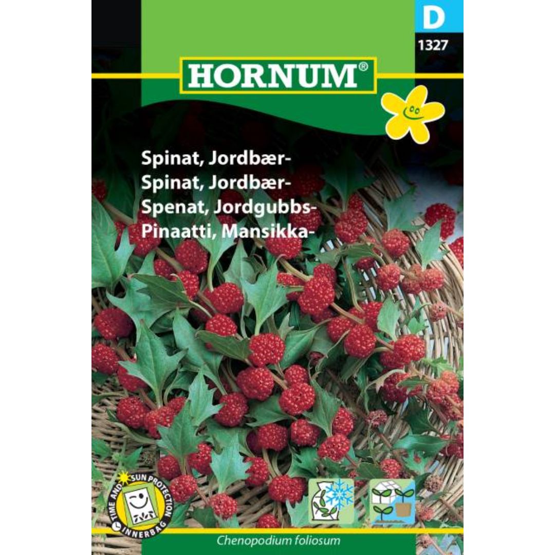 Jordbærspinat med grønne blader og røde, jordbærlignende bær.