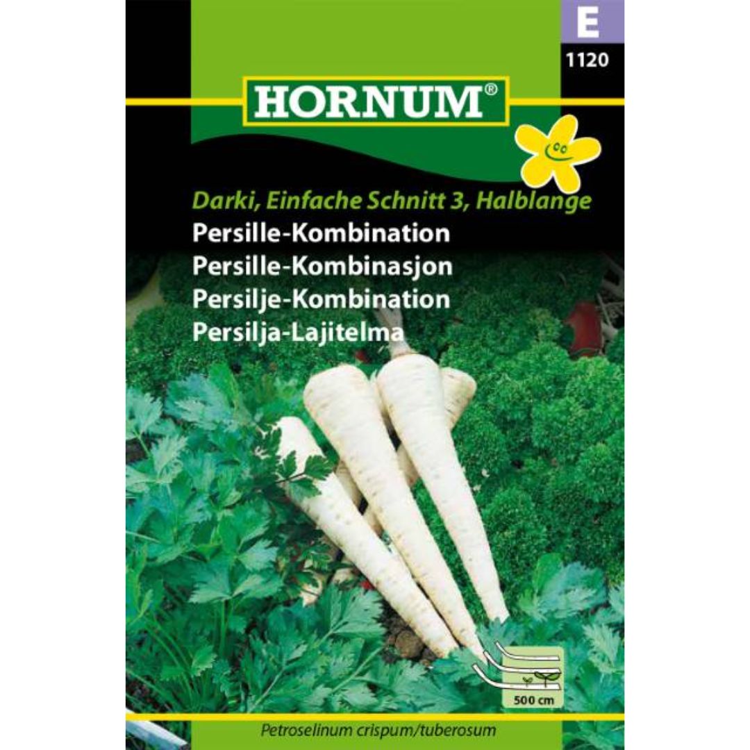 Persille såbånd lagt i sårille klar til planting i kjøkkenhagen.