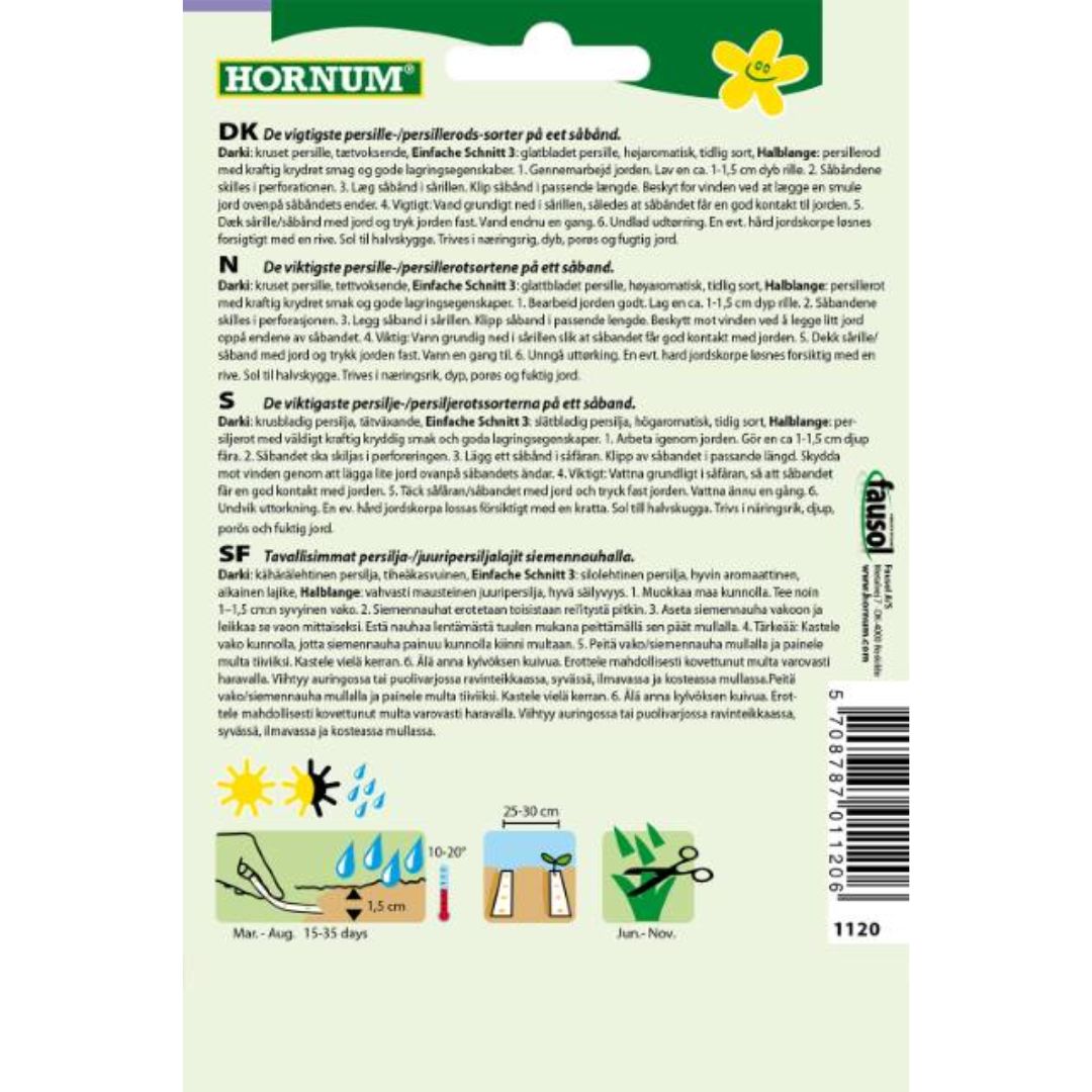 Kruset og glattbladet persille som vokser tett i hagebed.