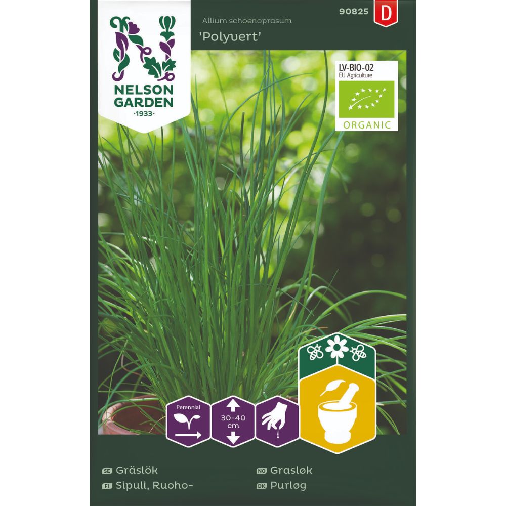 Grasløk Polyvert med smale grønne blader