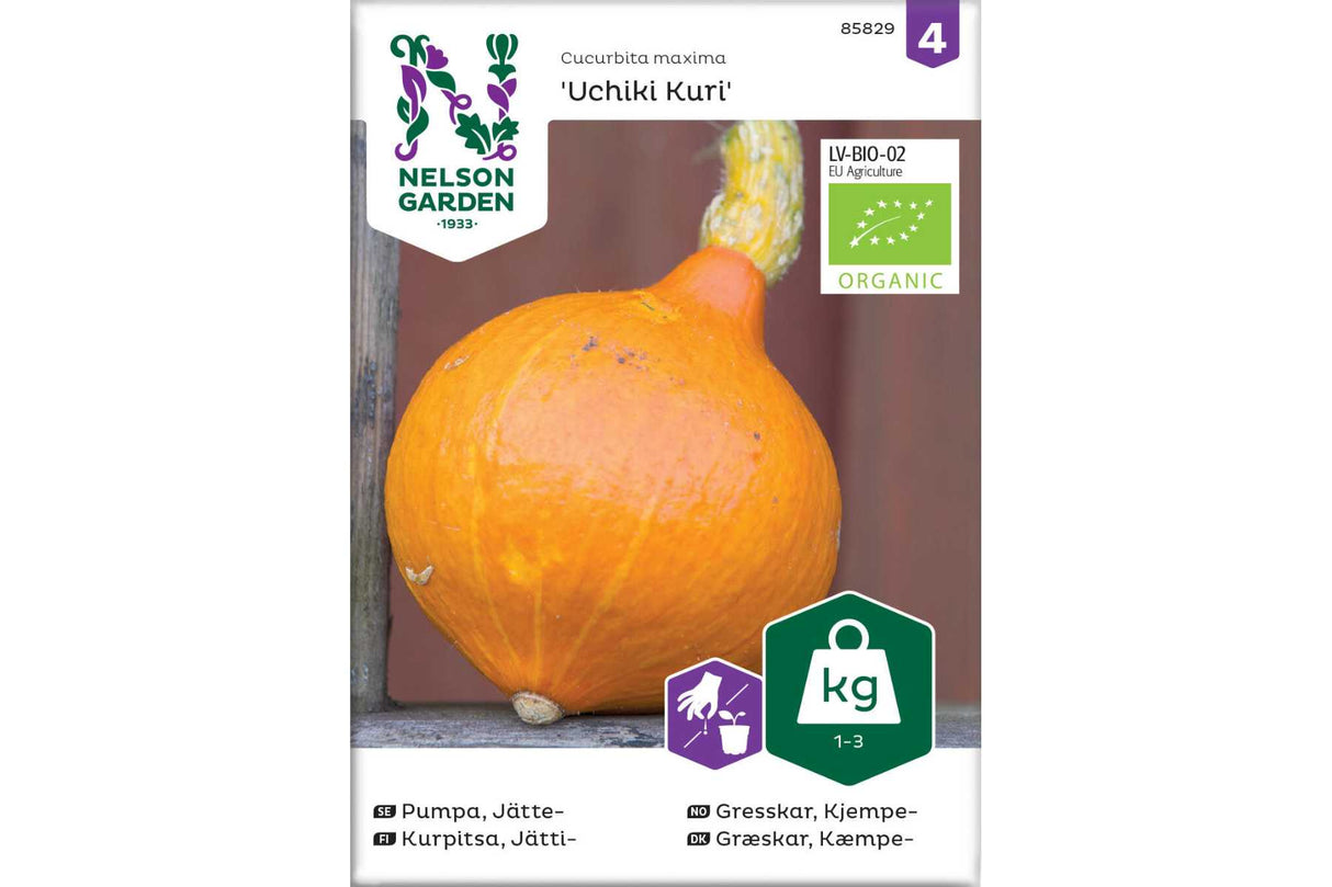 Gresskar Uchiki Kuri Økologisk