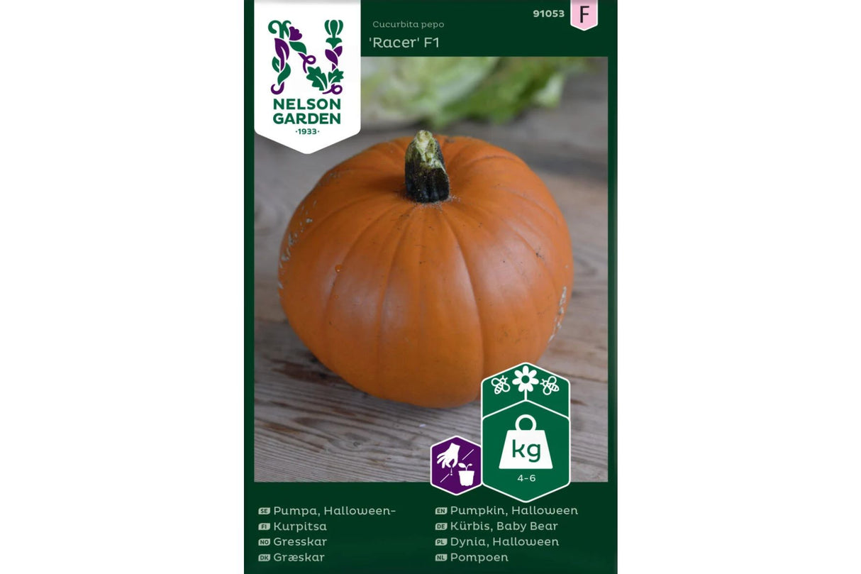 Gresskar 'Racer F1' – Perfekt til Halloween