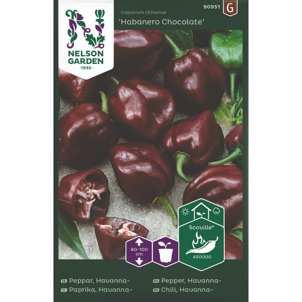 Habanero Chocolate med brune frukter