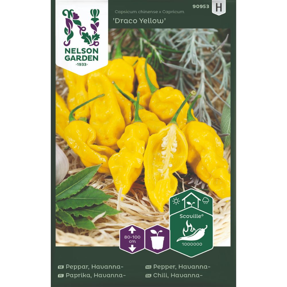 Havannapepper Draco Yellow med gule frukter