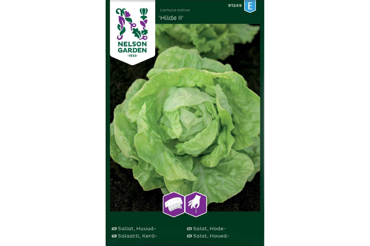 Hodesalat 'Hilde II', frøbånd