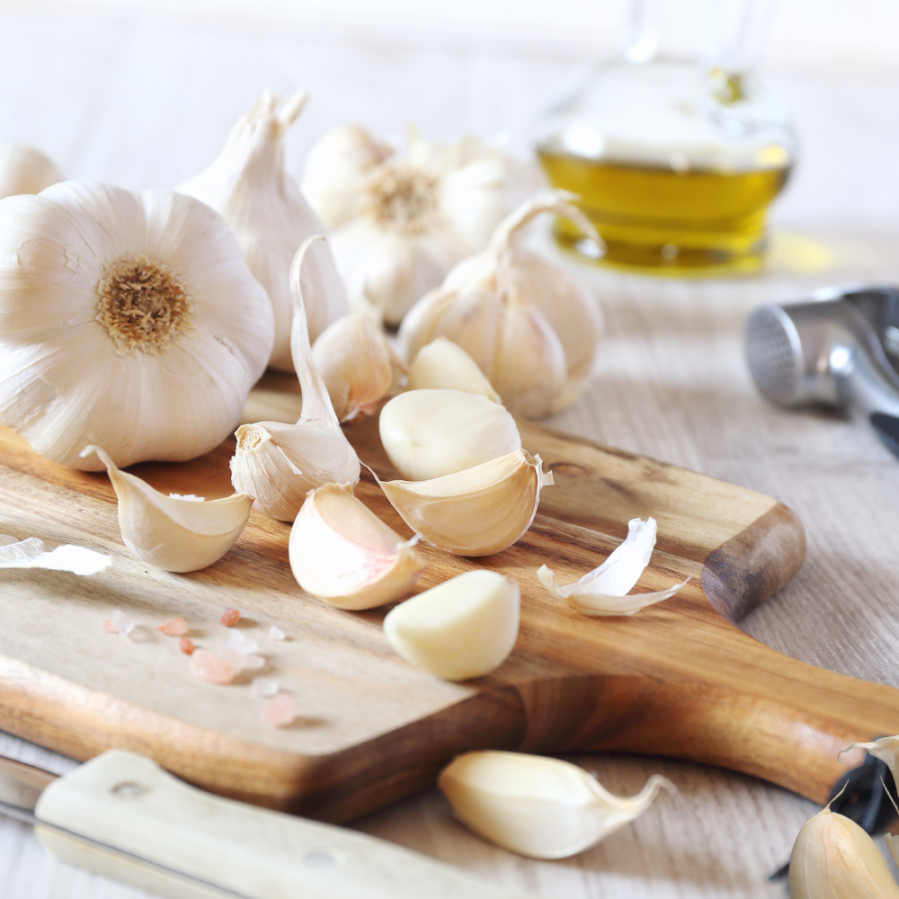 Hvitløk Messidrome Økologisk – Tidlig softneck-hvitløk med fyldig smak og god lagring